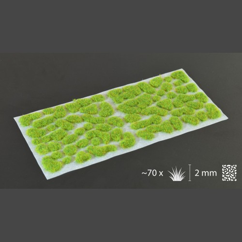Bright Green 2mm Wild-1622743938.jpeg