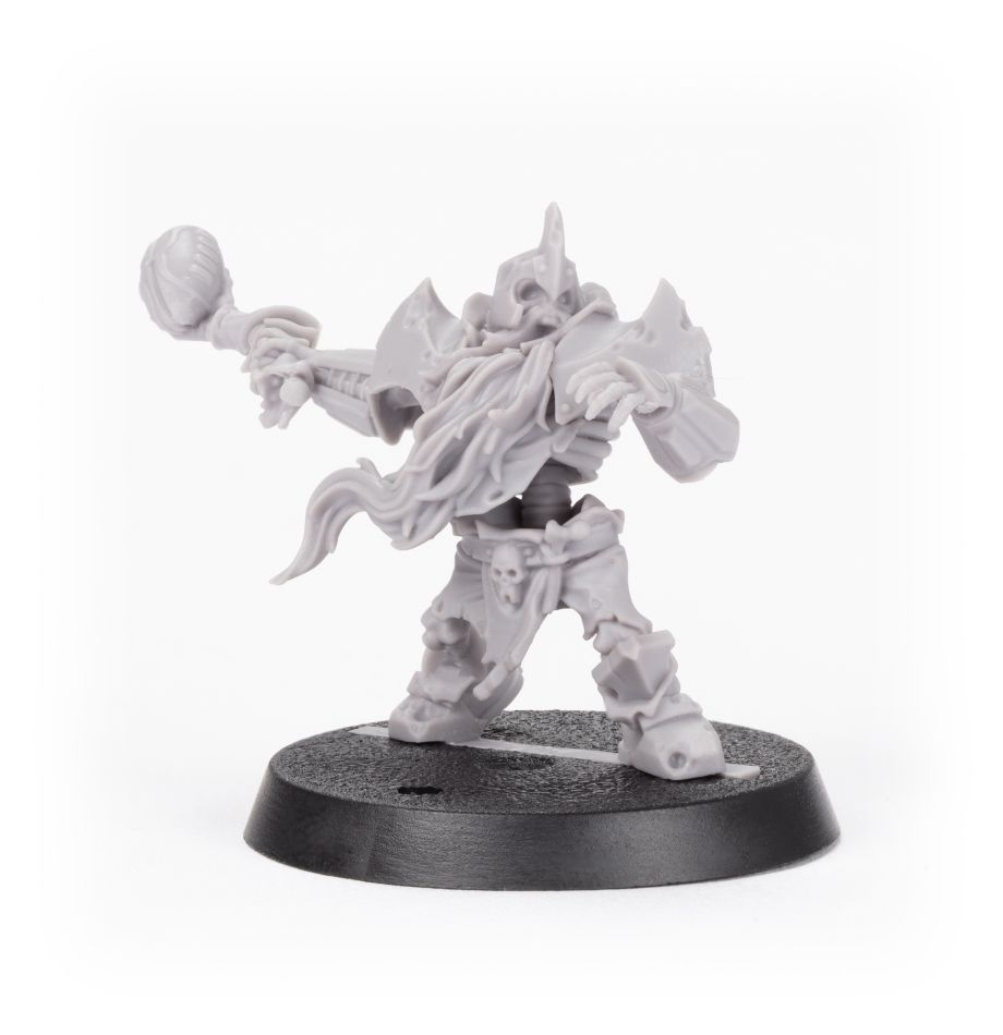 WARHAMAMER BLOOD BOWL: SKRULL HALFHEIGHT-1652355715.jpg