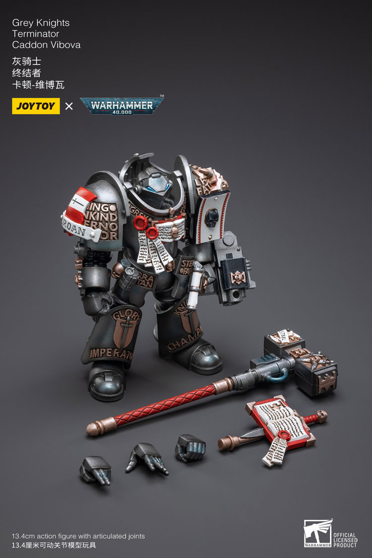 [JoyToy] Grey Knights Terminator Caddon Vibova JT3228-1683900770.jpg
