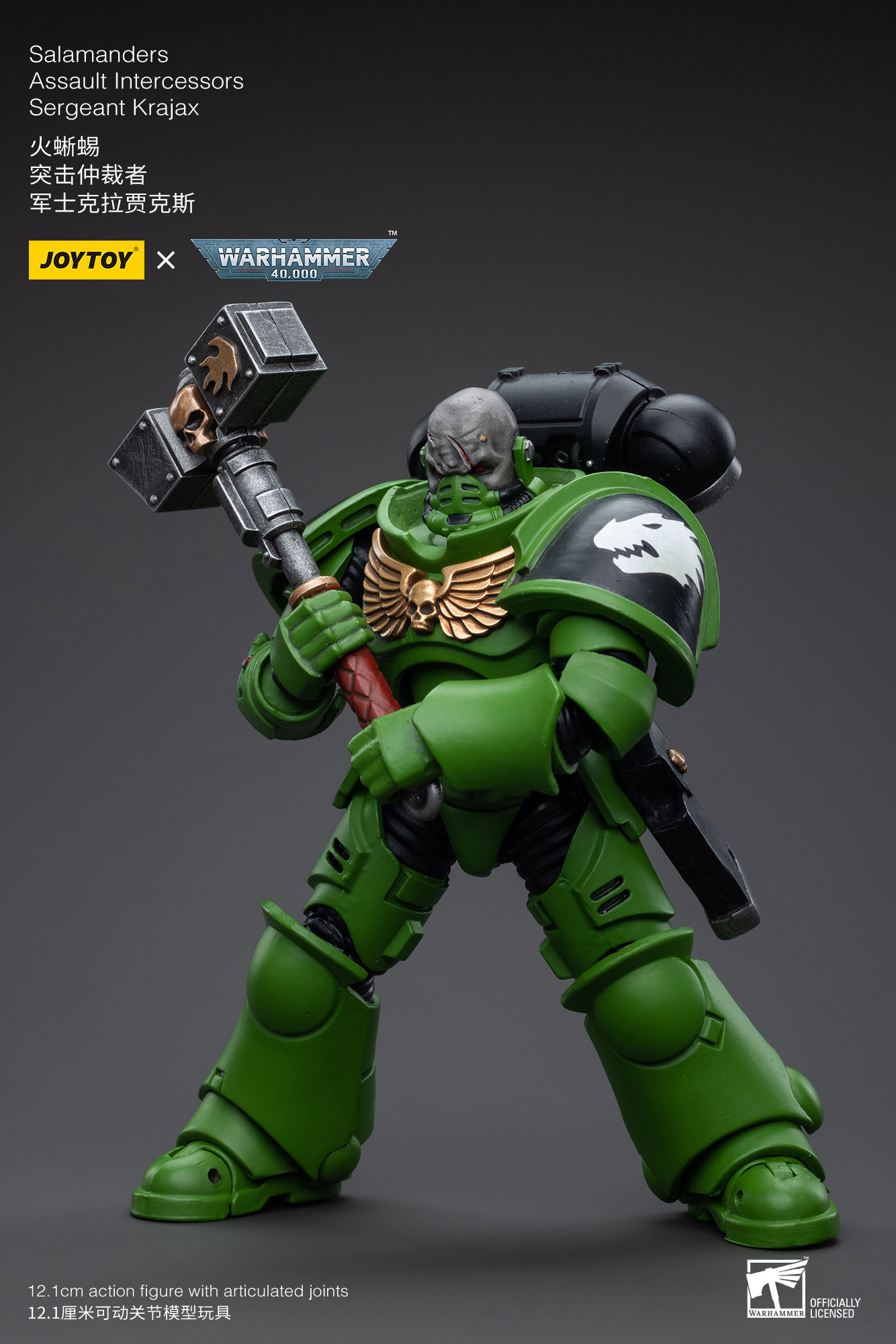 [JoyToy] Salamanders Assault Intercessors Sergeant Krajax JT5215-1688562911.jpg