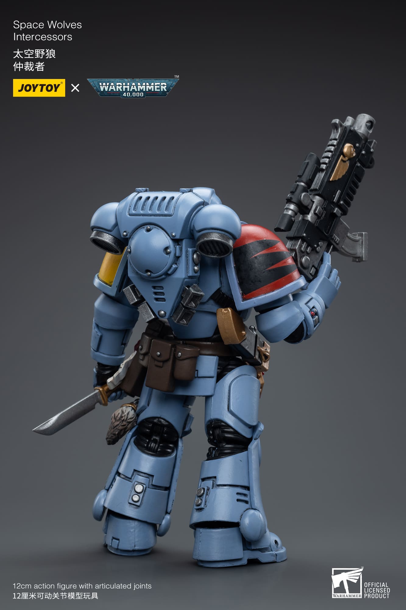 (JOYTOY) Space Wolves Intercessors JT6625-1691325532.jpg