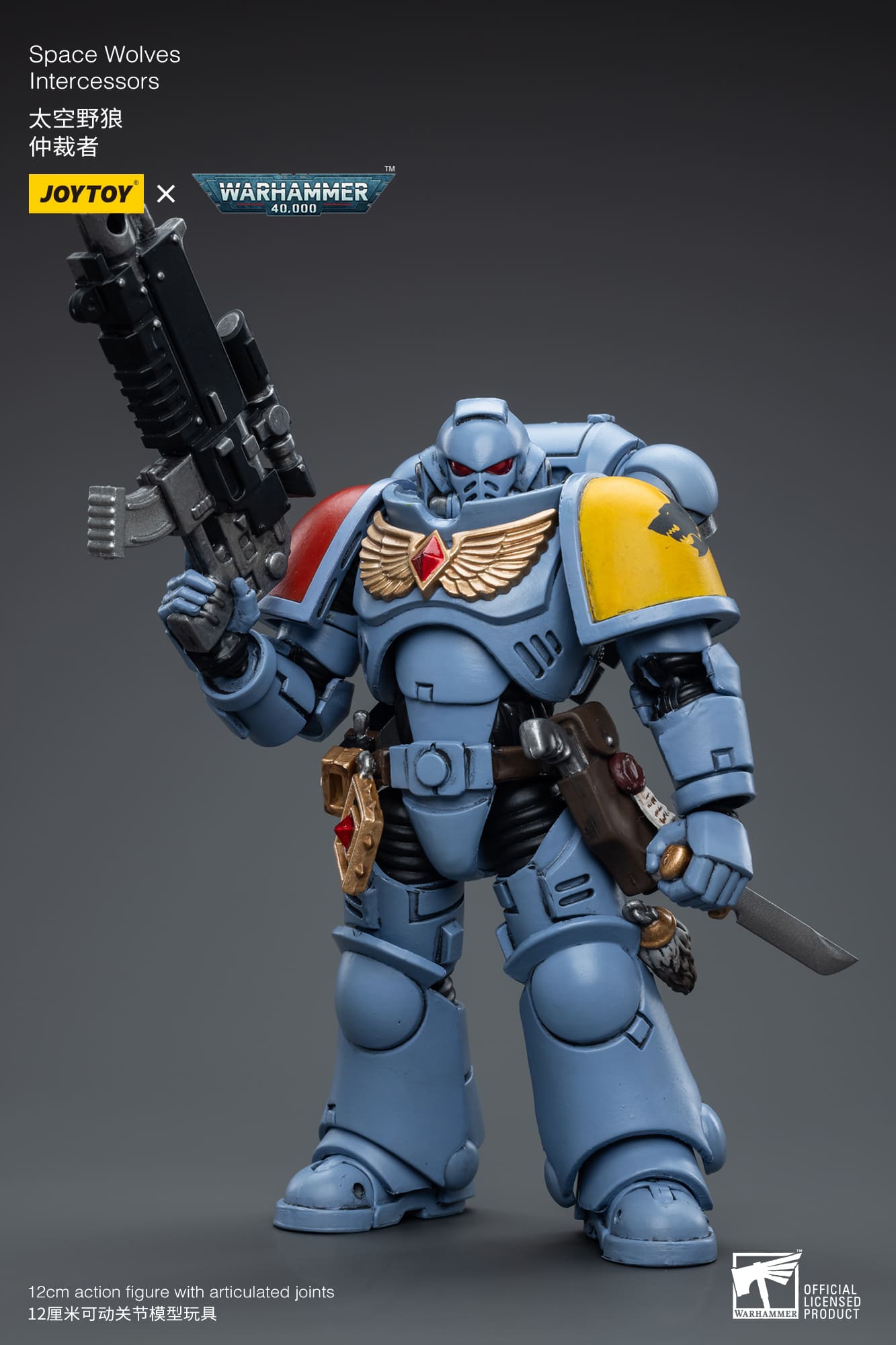 (JOYTOY) Space Wolves Intercessors JT6625-1691325533.jpg