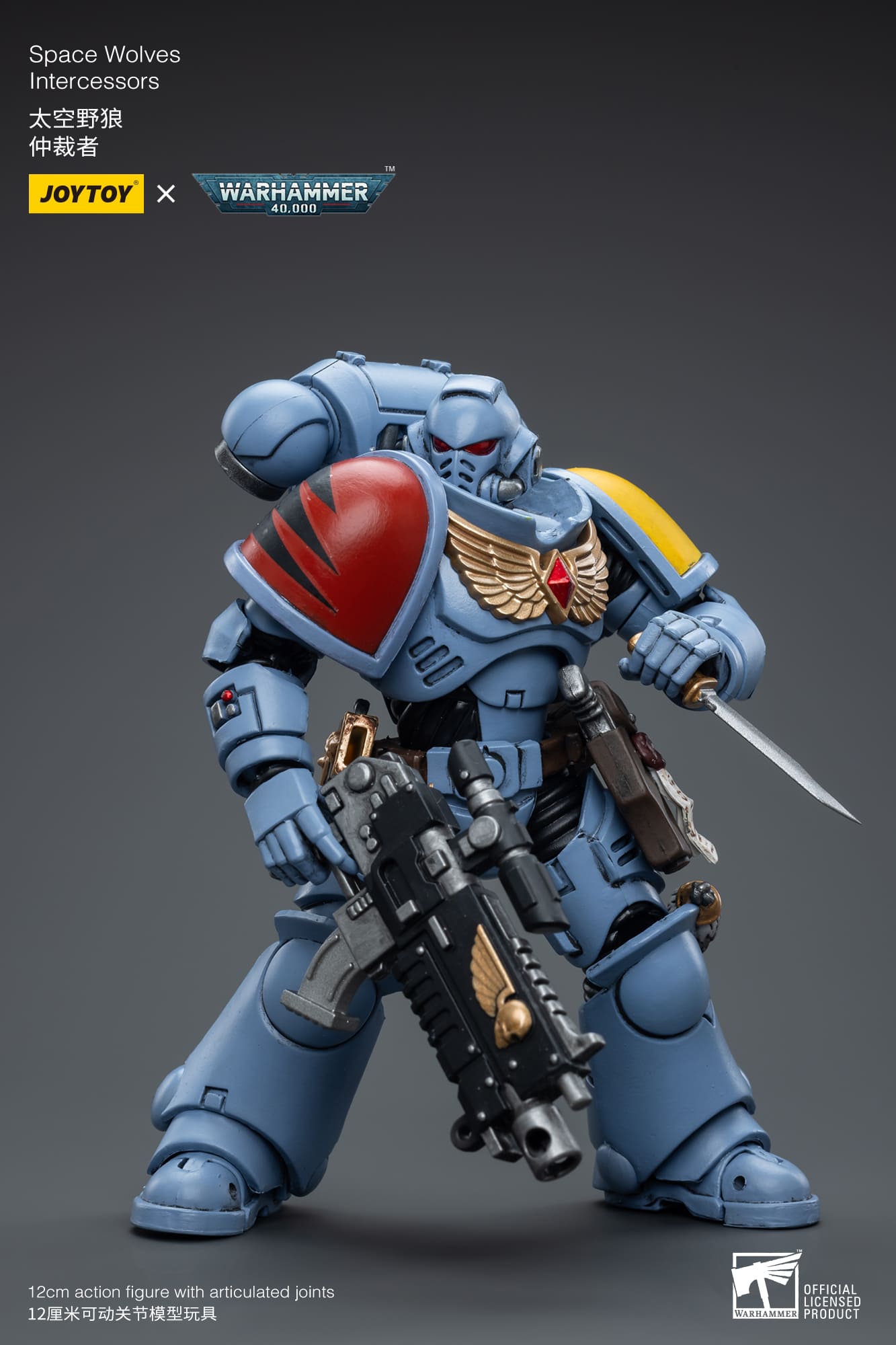 (JOYTOY) Space Wolves Intercessors JT6625-1691325535.jpg