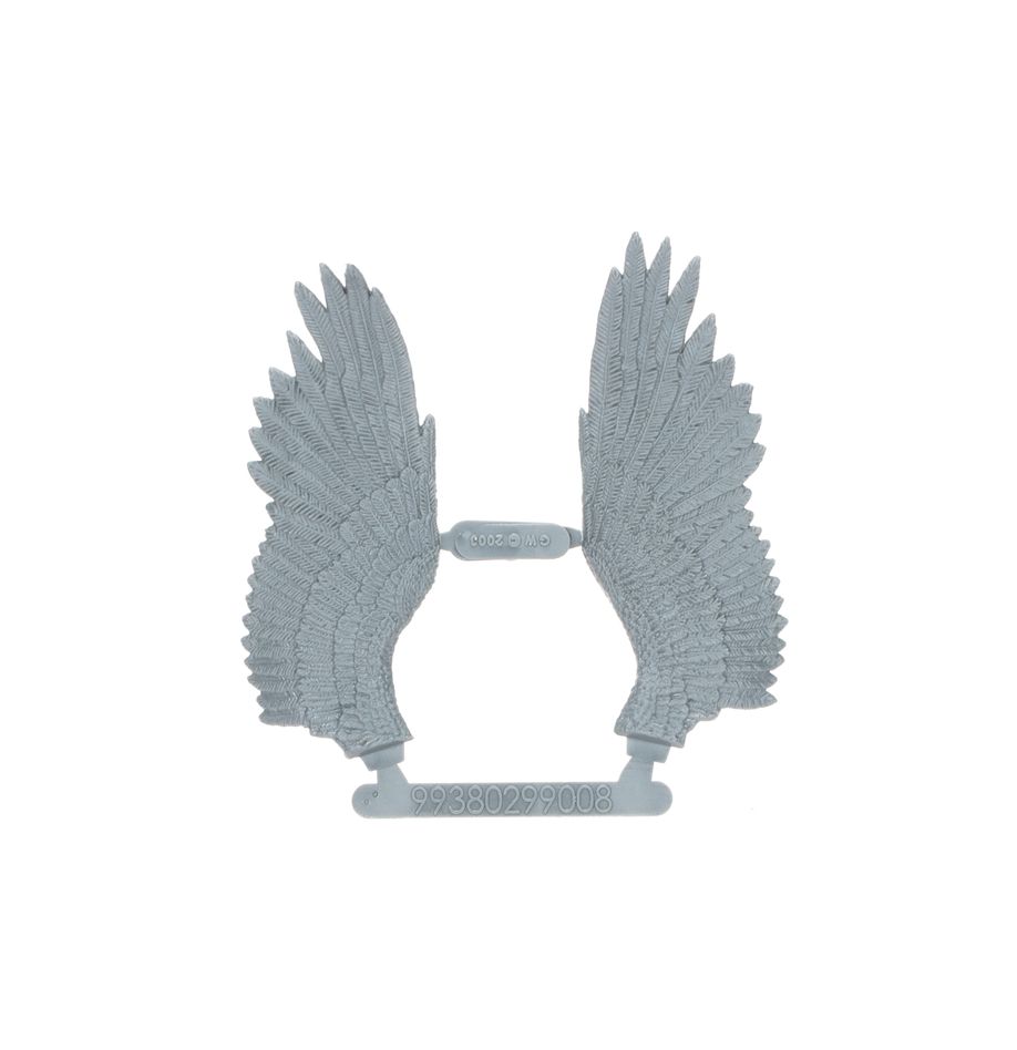 WARHAMMER THE OLD WORLD KINGDOM OF BRETONNIA: PEGASUS KNIGHTS-1706368034.jpg