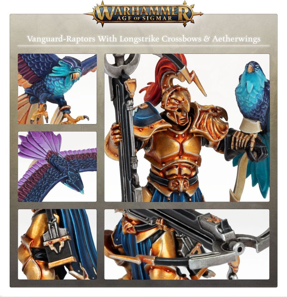 WARHAMMER AOS STORMCAST ETERNALS: VANGUARD-RAPTORS-1706463636.jpg