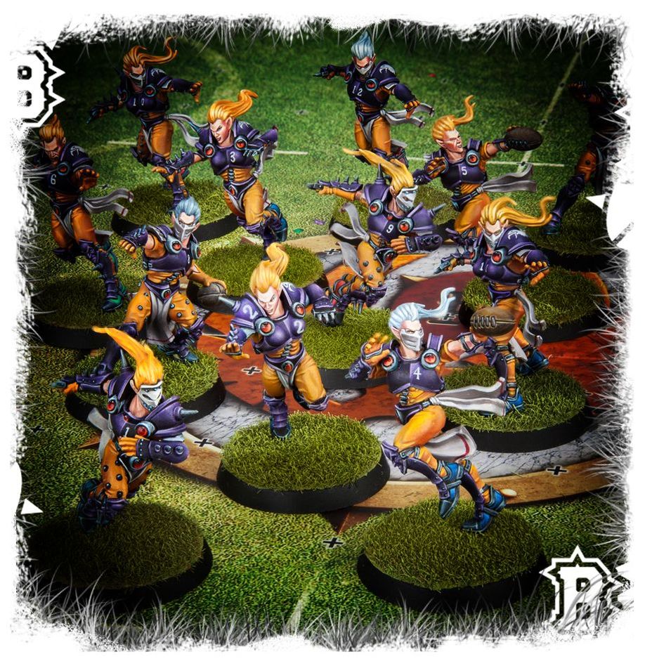 WARHAMAMER BLOOD BOWL: ELVEN UNION TEAM-1709393025-4y2aT.jpg