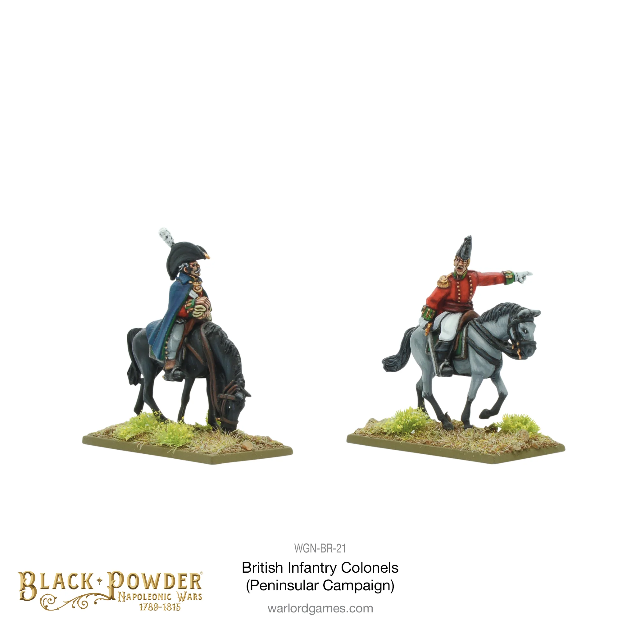 Mounted Napoleonic British Infantry Colonels (Peninsular War)-1710241210-DuJyH.webp