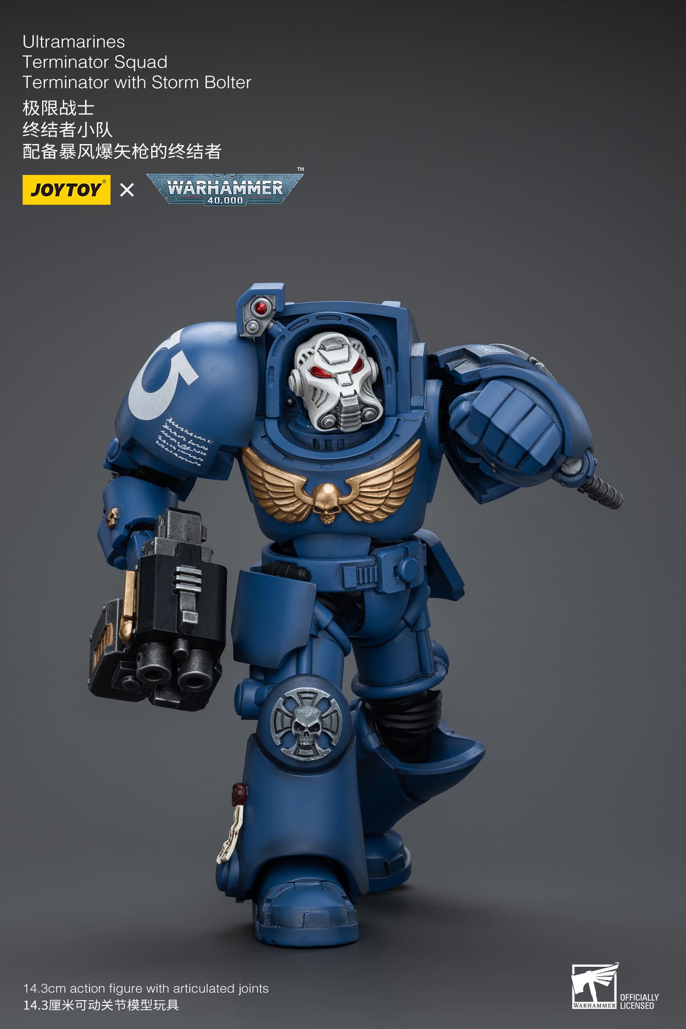 (JOYTOY) Ultramarines Terminator Squad Terminator with Storm Bolter JT9930-1717837703-JtA2a.jpg