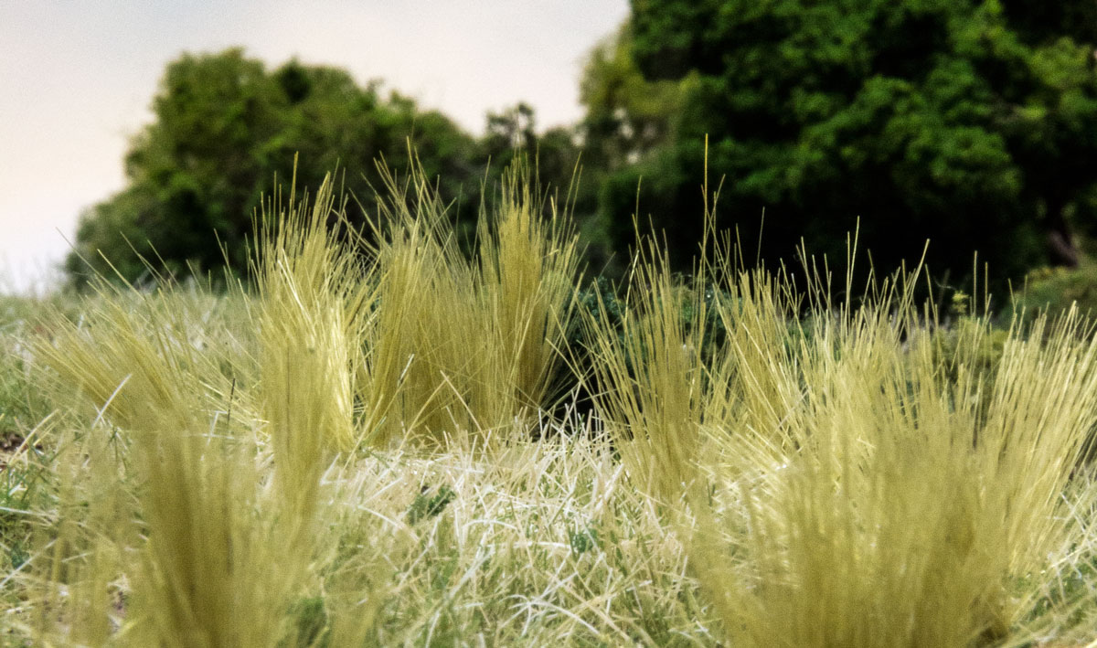 (WOODLAND SCENICS) TUFT-TAC FS643-1735312852-JkKdC.jpg