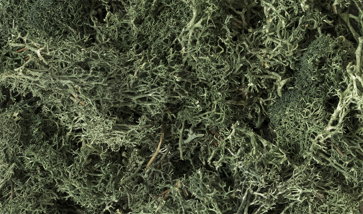 (WOODLAND SCENICS) DARK GREEN LICHEN L164-1735370109-zcwmO.jpg