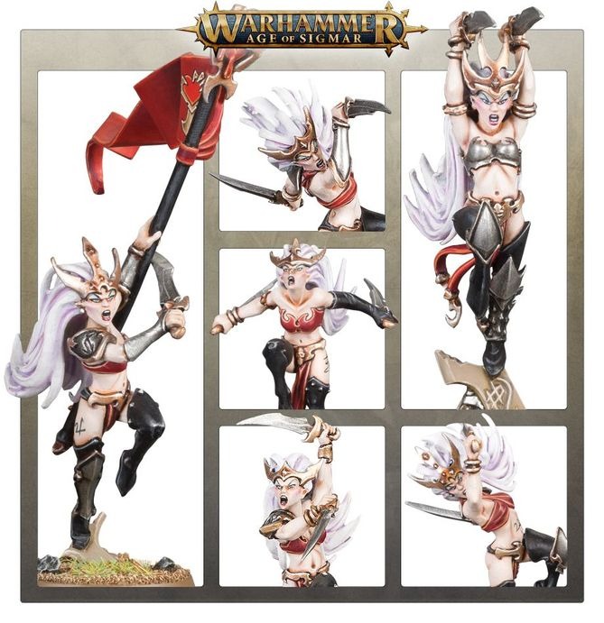 WARHAMMER AOS DAUGHTERS OF KHAINE: WITCH AELVES-1747842107-QPNms.jpg