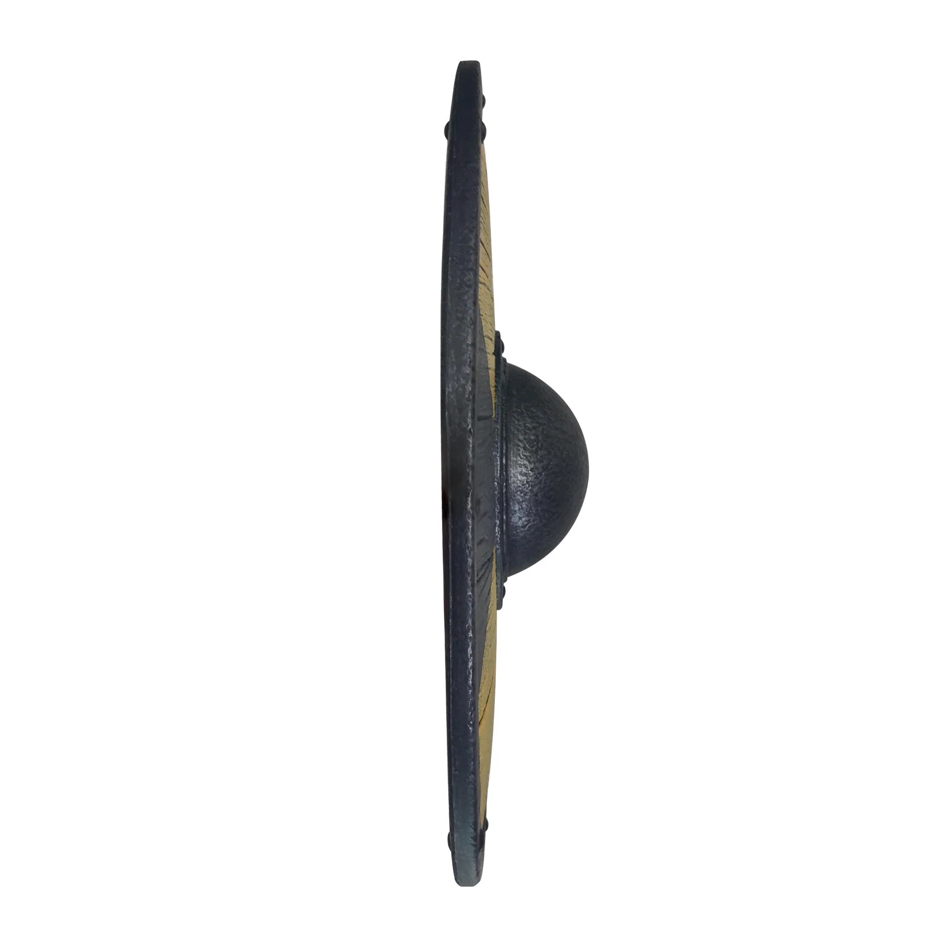 Wasp shield Ø50 cm D909-1770484887-c6zpu.jpg